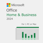 microsoft Home Business 2024 ESD